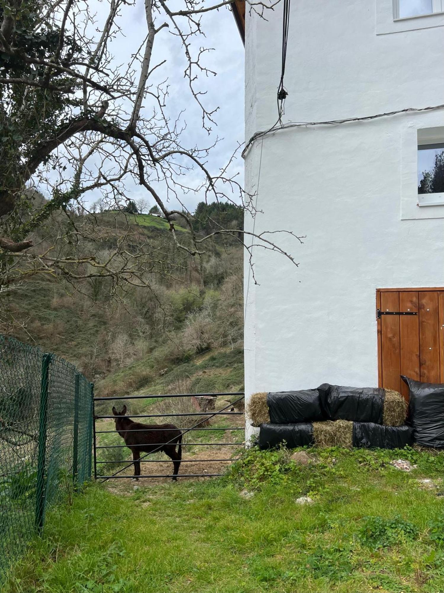 Апартаменты Fantastico Retiro Rural En El Corazon De Euskadi Эльгойбар Экстерьер фото
